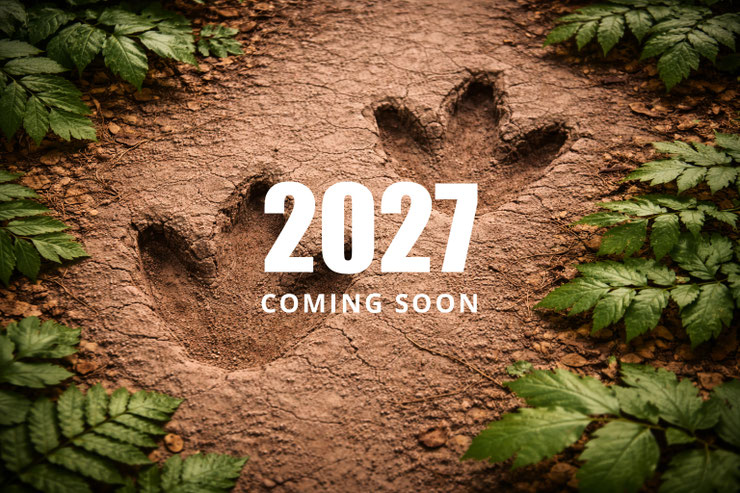 Magic Moves — Saison 2027 Teaser